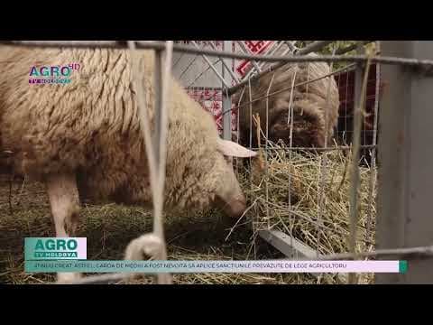 O unitate agricolă a fost amendată cu 100 de mii de lei din cauza gunoiului de grajd