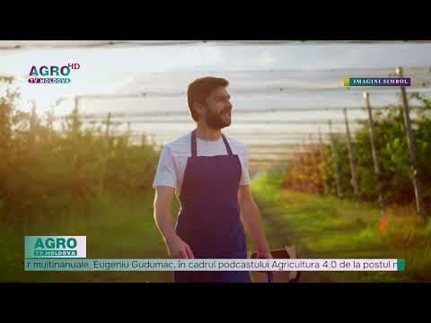 Proiectarea livezilor superintensive. Tendințe și sfaturi