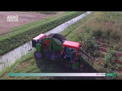 (VIDEO) AgriTech: Mașină de recoltat roșii ce înlocuiește 150 de oameni