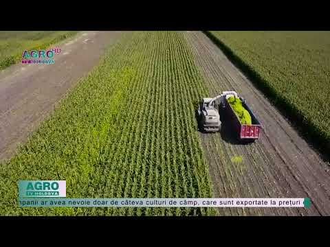 Agricultura – de la moșieri spre fermieri