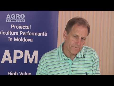 Principii tehnologice la cultivarea căpșunului și zmeurului pentru procesare