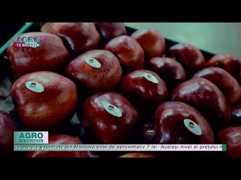 Unde ajung și la ce preț se exportă merele moldovenești