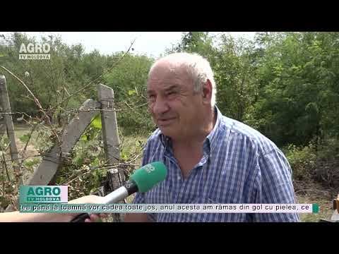 Istoria unui fermier care a rămas fără nimic