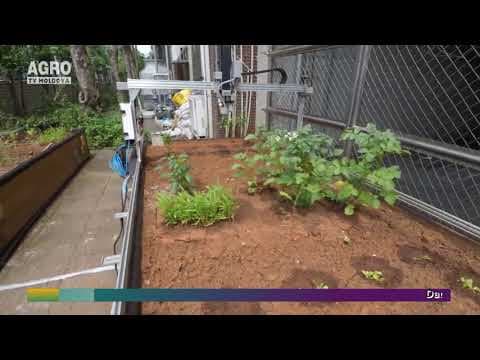 VIDEO/Fructe și legume crescute de roboți în grădina dumneavoastră