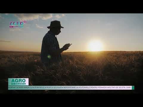 Agricultorii speră la o recoltă mai bun după precipitațiile din iarnă