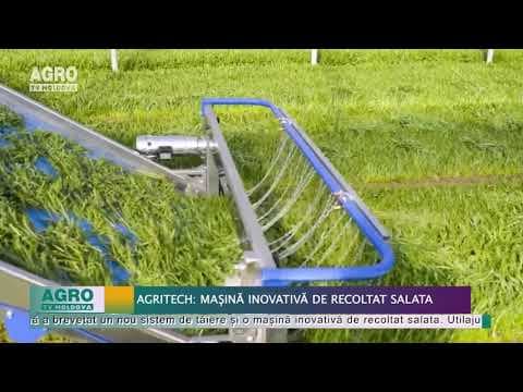 (FOTO) AgriTech: Mașină inovativă de recoltat salata
