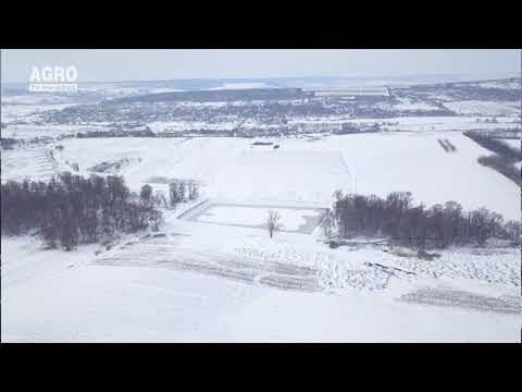 METEO, 20 februarie: Ninsori slabe la nord