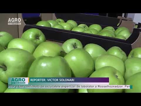 Peste 20 de tone de mere moldovenești, interzise în Rusia