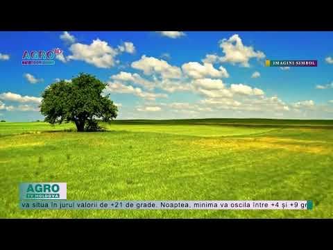Temperaturi de până la +22°C, prognozează sinopticienii