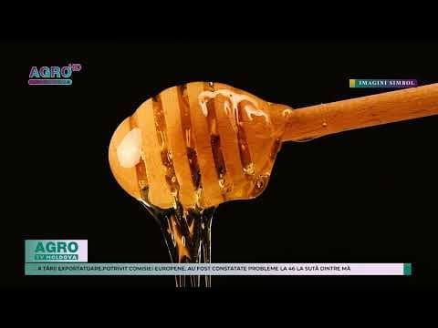 Miere falsificată din importurile ucrainene. Regulament nou pentru producătorii apicoli