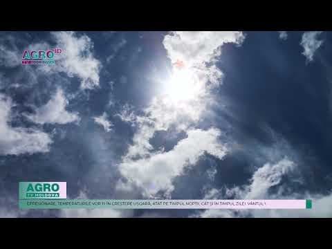 Vremea se încălzește. Cer variabil și temperaturi ridicate