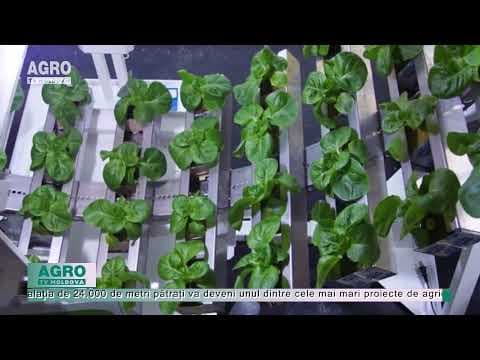 (VIDEO) AgriTech: Cultivarea rotativă orizontală, salvează fermierilor spațiu și timp