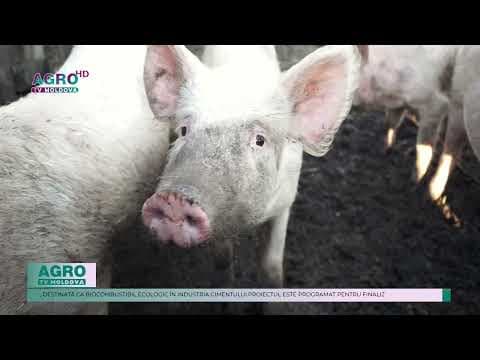 La Criuleni se construiește o unitate de procesare a subproduselor de origine animală