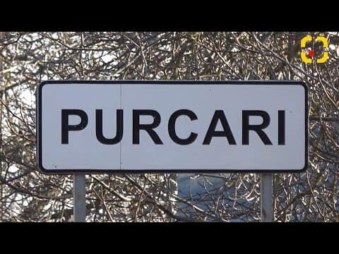 INVESTIGAȚIE. MONOPOL la Purcari? / VIDEO