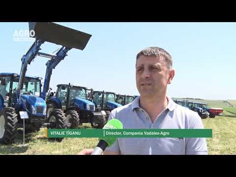 Vadalex-Agro – lider pe piața agricolă din Moldova