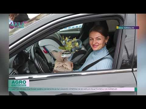 Șoferii din capitală, surprinși cu puieți de stejar – O acțiune simbolică pentru împădurire