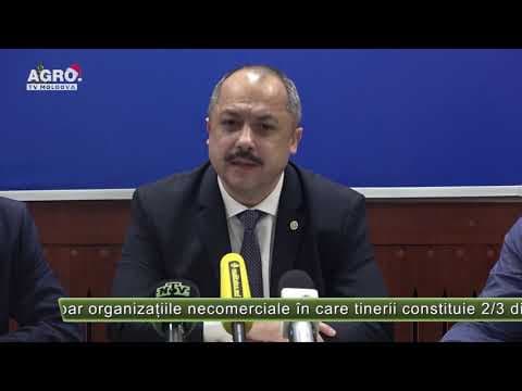 Granturi pentru tineri