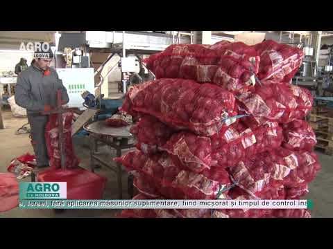 În atenția producătorilor și exportatorilor de vegetale