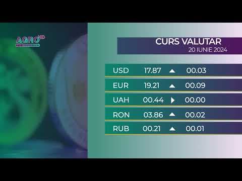 BNM: Cursul valutar 20 iunie, 2024