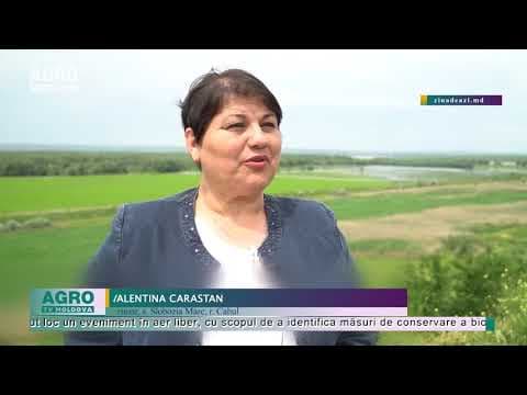 Ecosistemul de la „Prutul de Jos”, protejat