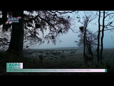 Weekend cu vreme rece și cer noros în toată Republica Moldova