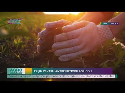 UCIP IFAD sprijină antreprenorii din domeniul agricol