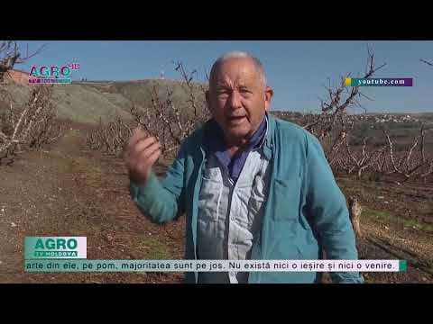 Fermierii din nordul Israelului se luptă pentru a-și îngriji câmpurile și livezile