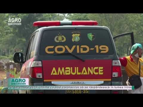 Patru milioane de oameni au murit din cauza pandemiei