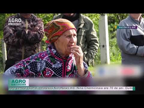 Cu căruța la drumul mare