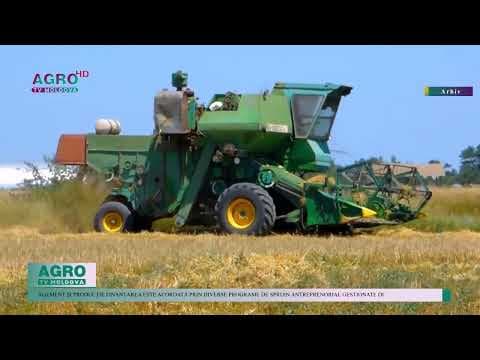 23 de companii vor primi granturi în valoare de 7,3 mln de lei