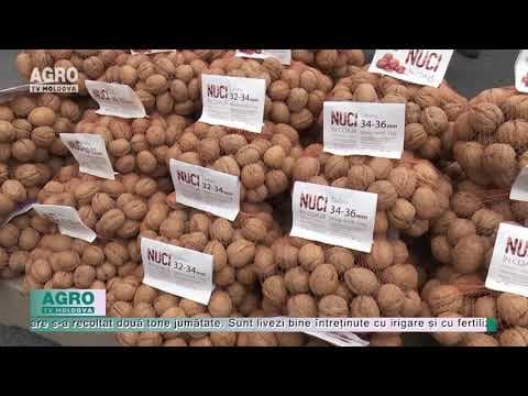 Anual, în Moldova sunt înființate 500-700 hectare de nuci