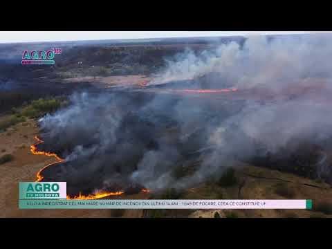 Principala regiune de creștere a lime-ului din São Paulo se luptă cu incendii