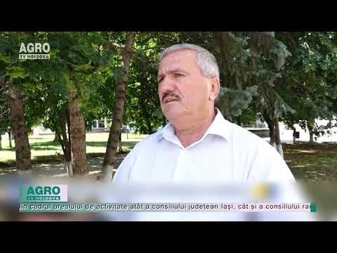 Cine merită să fie cetățean de onoare?
