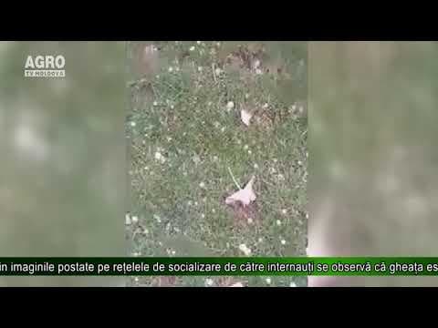 Ploaia cu grindină a făcut ravagii la Florești