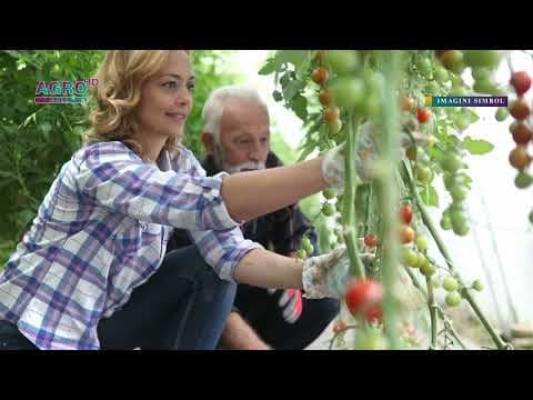 Peste 830 de ucraineni au fost angajați oficial în Moldova
