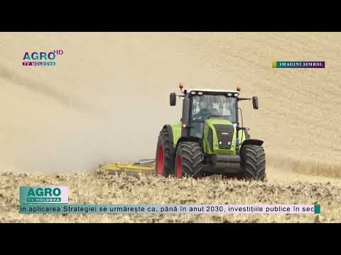 Planuri mari de a dezvolta sectorul agricol. Avem posibilități?