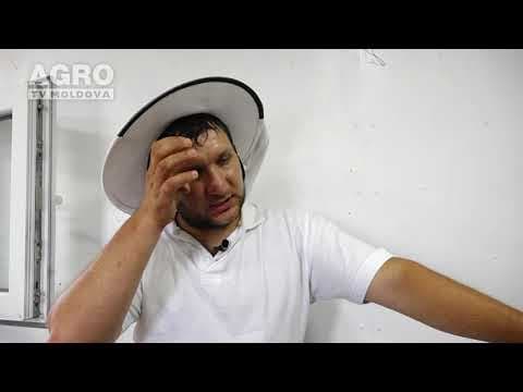 Recoltarea şi extracţia mierii de albine