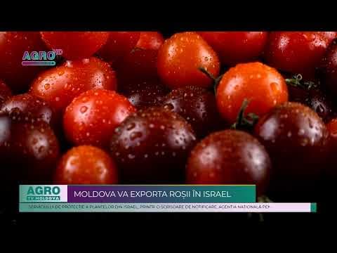 Moldova va exporta roșii în stare proaspătă în Israel