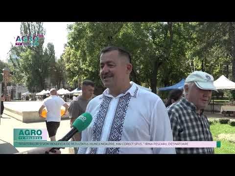 Ion Maxim: „La capitolul „situație din sectorul apicol” stăm un pic mai rău”