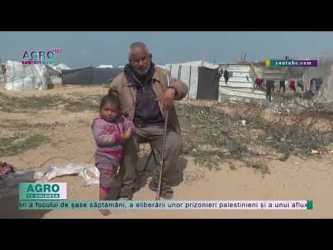 Oamenii se luptă să supraviețuiască în regiunea Rafah, în sudul Fâșiei Gaza