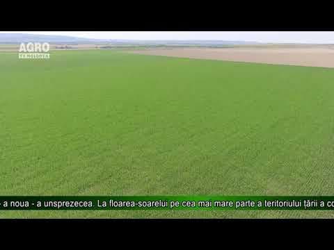 SHS: Analiză agrometeorologică