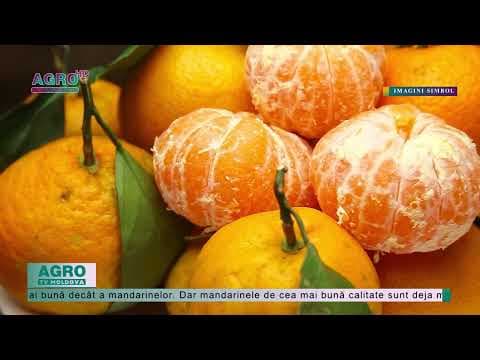Creșterea prețurilor la mandarine – ”tradițională” de sărbători