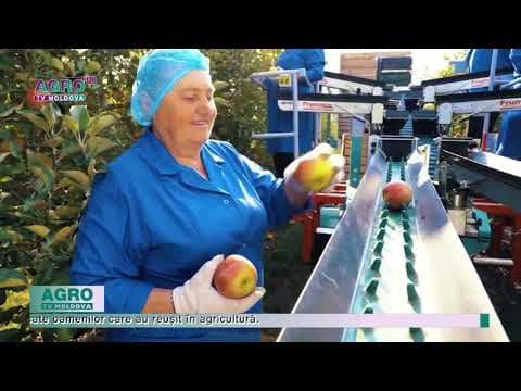 Ce motiv de sărbătoare să aibă agricultorii?