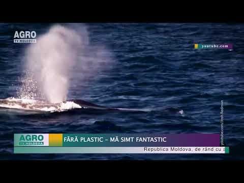 Fără plastic – mă simt fantastic