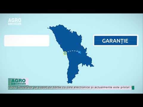 Un proiect nou pentru digitalizarea exporturilor
