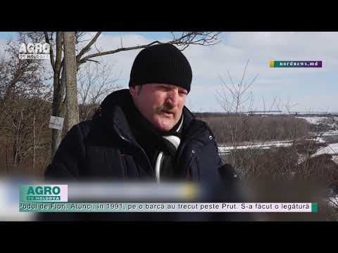 Fără sârmă ghimpată, dar cu restricții