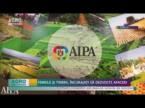 Femeile și tinerii, încurajați să dezvolte afaceri