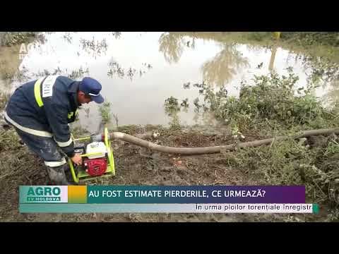 Au fost estimate pierderile, ce urmează?