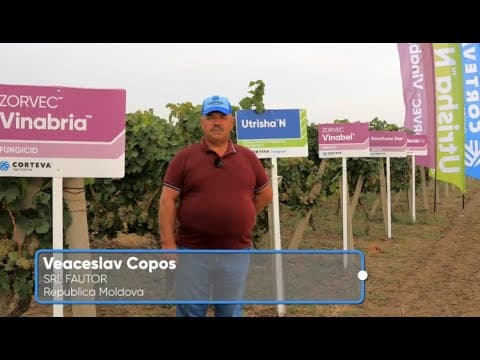 Veaceslav COPOS, despre eficacitatea produselor Zorvec Vinabria, Talendo și Utrisha N