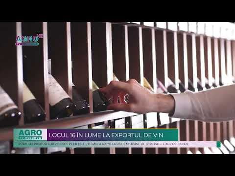 Republica Moldova deține locul 16 în lume la exportul de vin